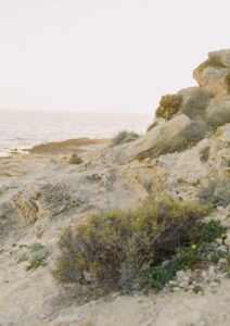 Arielle & Max | An SC Elopement