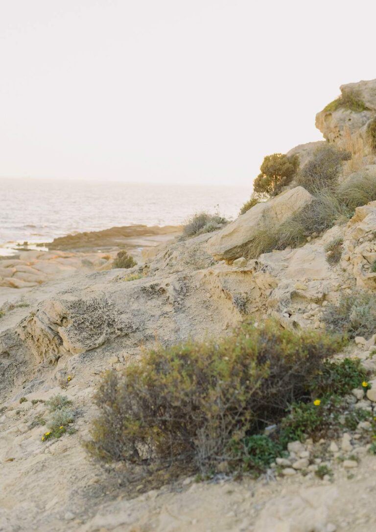 Arielle & Max | An SC Elopement